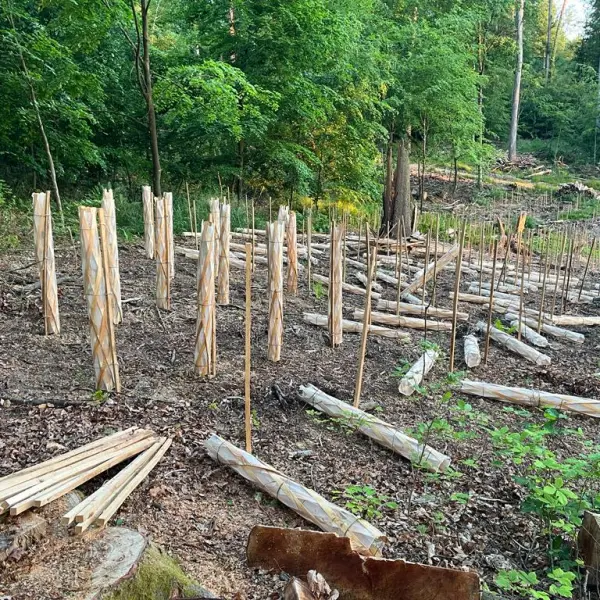 Holzverarbeitung