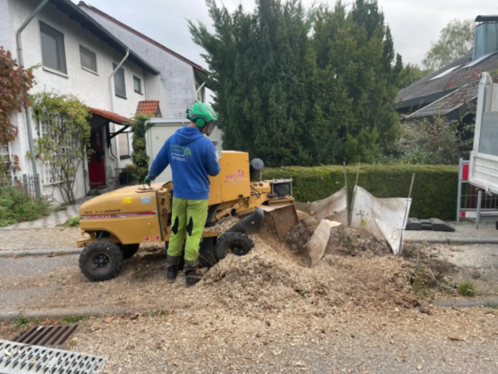 Wurzelfräsarbeiten