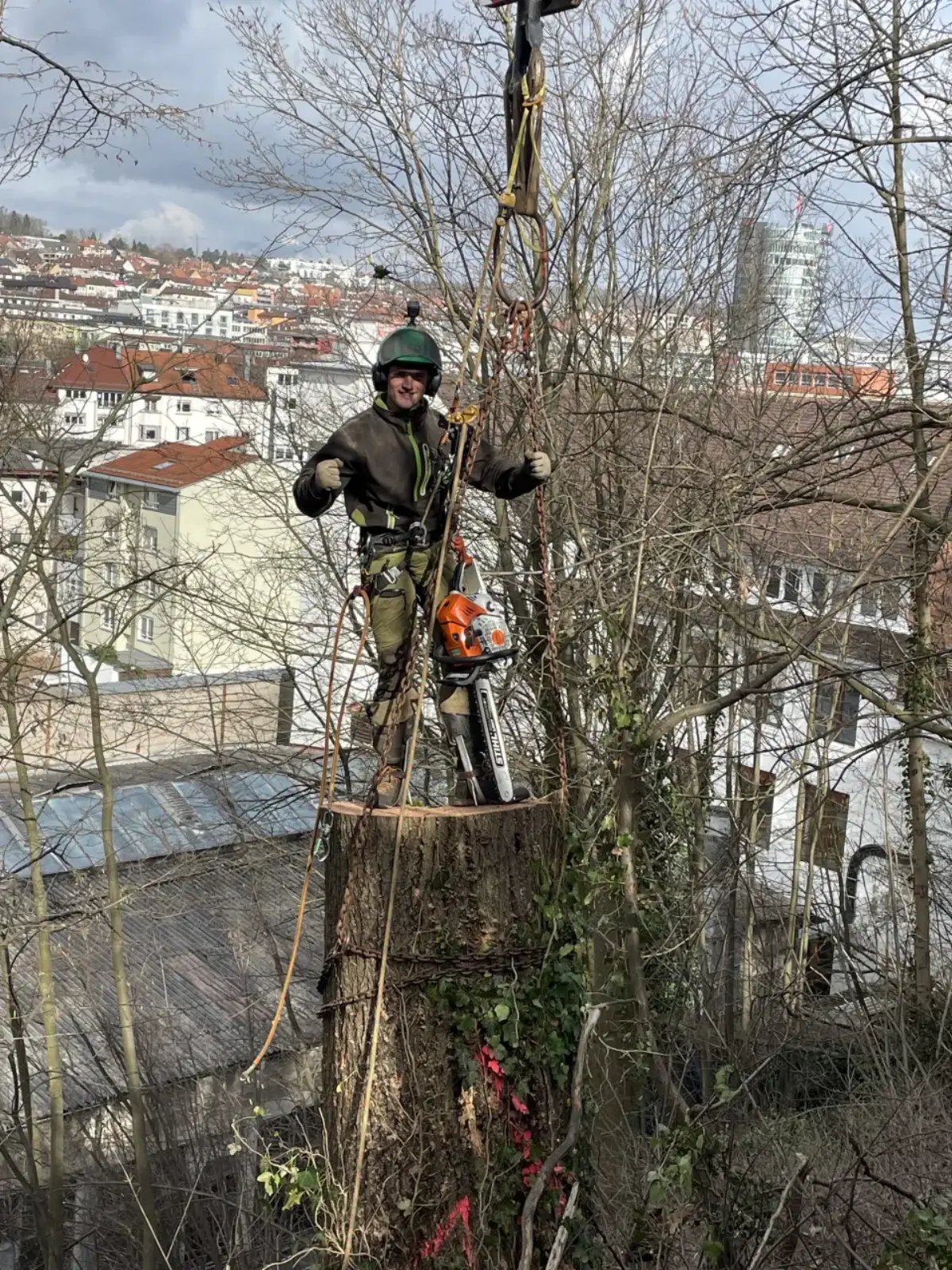 Baumkletterer bei der Arbeit